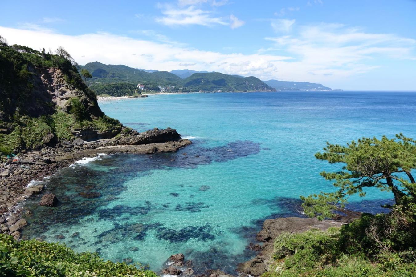 Hotel ペンション桜家 Shimoda  Exterior foto